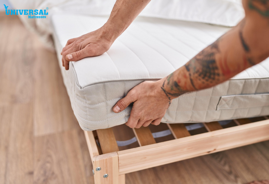 Latex vs Memory Foam Mattress Toppers: Which One Suits You Best?