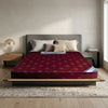 Prime (Best Comfort)