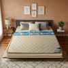 Marine Orthopedic Pillowtop Mattress – Ultimate Back Support