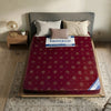 Prime (Best Comfort)