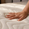 Luster Full Plush Mattress, Softy Foam, HR Foam, and Memory Foam