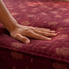 Sapor (Best Comfort)