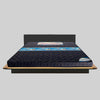 Universal Mattresses Dream semi orthoedic Mattress with Softy Foam for Dual Comfort and Back Support